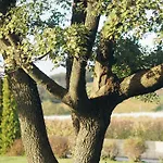 L'ermitage De 4*