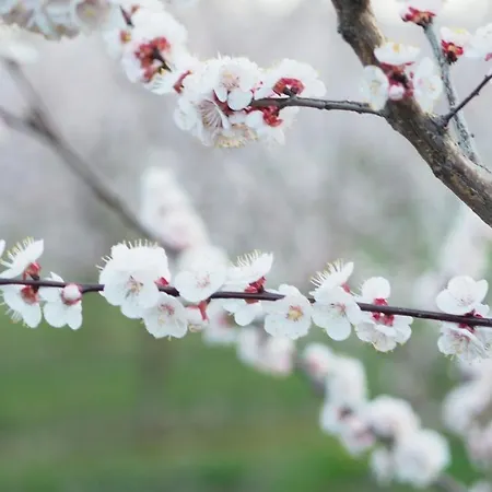L'ermitage De לינה וארוחת בוקר